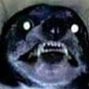 Meet your Posher, Jax